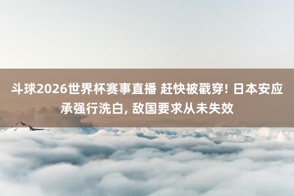 斗球2026世界杯赛事直播 赶快被戳穿! 日本安应承强行洗白, 敌国要求从未失效