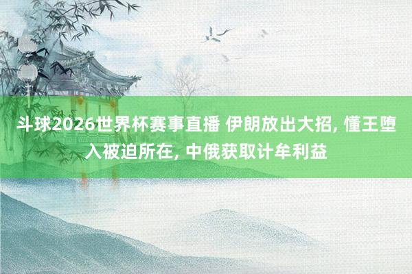 斗球2026世界杯赛事直播 伊朗放出大招, 懂王堕入被迫所在, 中俄获取计牟利益