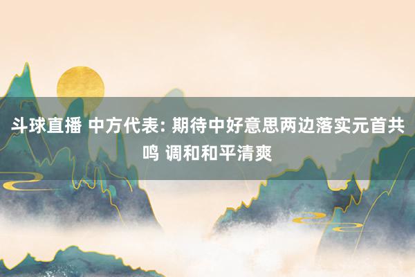 斗球直播 中方代表: 期待中好意思两边落实元首共鸣 调和和平清爽