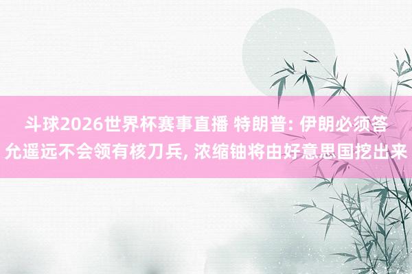 斗球2026世界杯赛事直播 特朗普: 伊朗必须答允遥远不会领有核刀兵, 浓缩铀将由好意思国挖出来