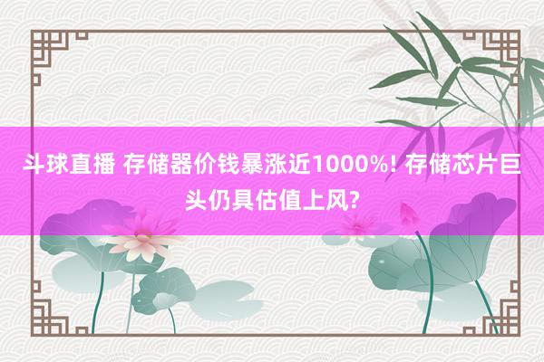 斗球直播 存储器价钱暴涨近1000%! 存储芯片巨头仍具估值上风?