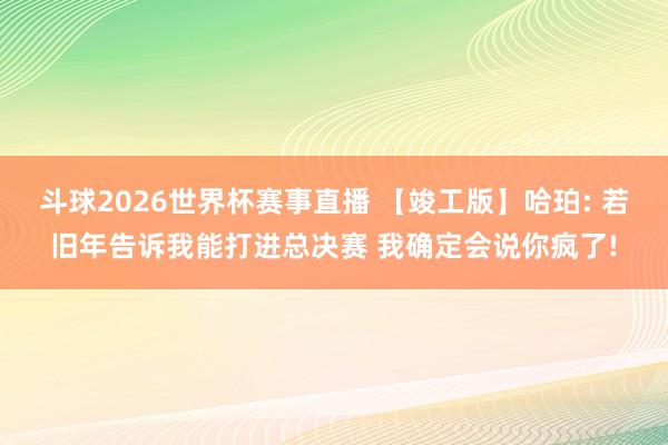 斗球2026世界杯赛事直播 【竣工版】哈珀: 若旧年告诉我能打进总决赛 我确定会说你疯了!