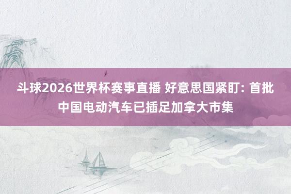 斗球2026世界杯赛事直播 好意思国紧盯: 首批中国电动汽车已插足加拿大市集