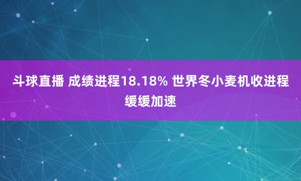 斗球直播 成绩进程18.18% 世界冬小麦机收进程缓缓加速