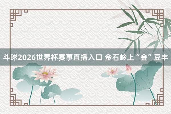 斗球2026世界杯赛事直播入口 金石岭上“金”豆丰