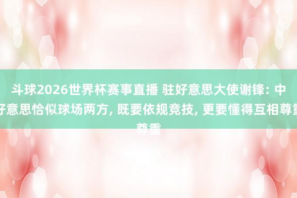 斗球2026世界杯赛事直播 驻好意思大使谢锋: 中好意思恰似球场两方, 既要依规竞技, 更要懂得互相尊重
