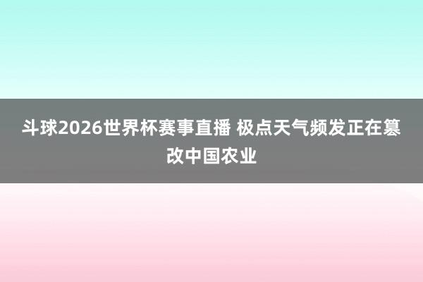 斗球2026世界杯赛事直播 极点天气频发正在篡改中国农业