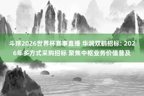 斗球2026世界杯赛事直播 华润双鹤招标: 2026年多方式采购招标 聚焦中枢业务价值普及
