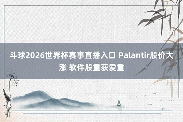 斗球2026世界杯赛事直播入口 Palantir股价大涨 软件股重获爱重