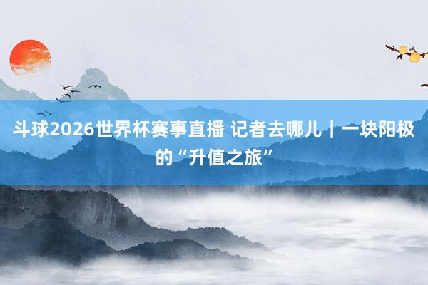 斗球2026世界杯赛事直播 记者去哪儿｜一块阳极的“升值之旅”