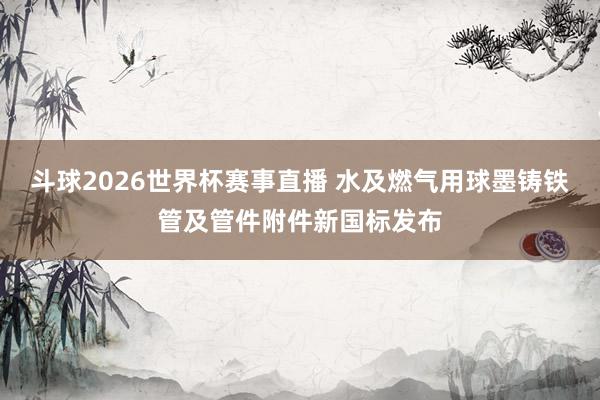 斗球2026世界杯赛事直播 水及燃气用球墨铸铁管及管件附件新国标发布