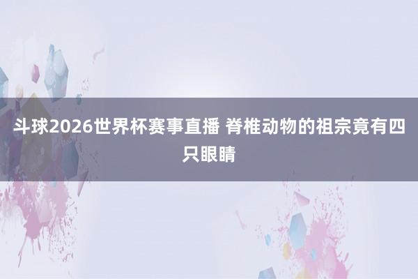 斗球2026世界杯赛事直播 脊椎动物的祖宗竟有四只眼睛