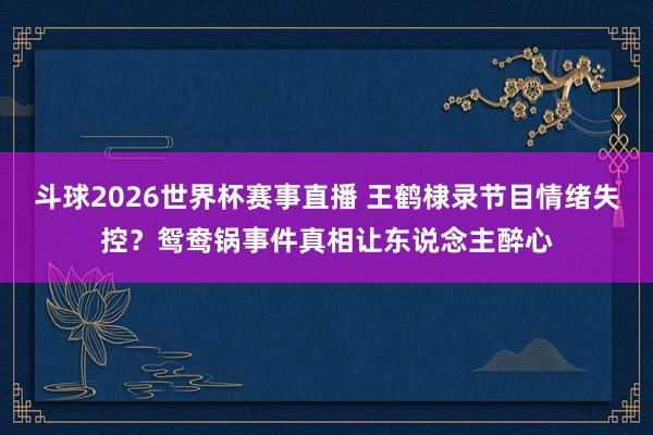 斗球2026世界杯赛事直播 王鹤棣录节目情绪失控？鸳鸯锅事件真相让东说念主醉心