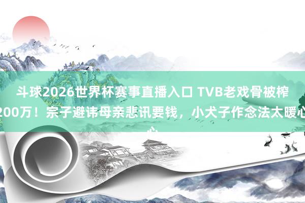 斗球2026世界杯赛事直播入口 TVB老戏骨被榨200万!宗子避讳母亲悲讯要钱,小犬子作念法太暖心
