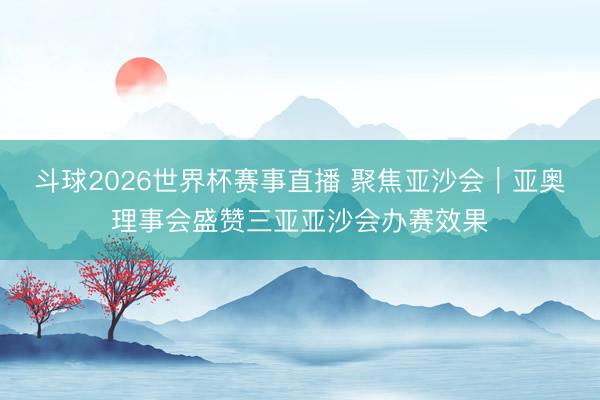 斗球2026世界杯赛事直播 聚焦亚沙会｜亚奥理事会盛赞三亚亚沙会办赛效果