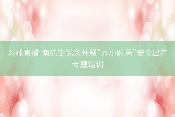 斗球直播 南苑街说念开展“九小时局”安全出产专题培训