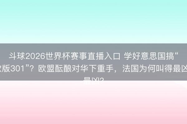 斗球2026世界杯赛事直播入口 学好意思国搞“欧版301”?欧盟酝酿对华下重手,法国为何叫得最凶?