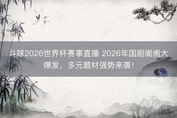 斗球2026世界杯赛事直播 2026年国剧阛阓大爆发,多元题材强势来袭!